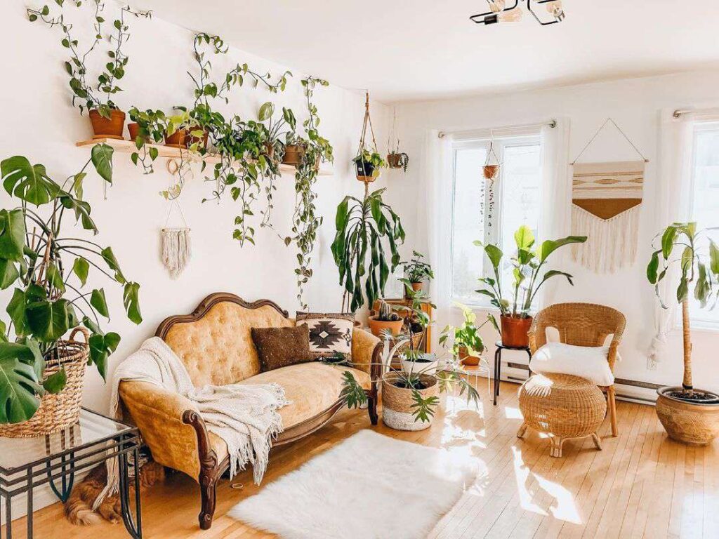 Indoor Gardening