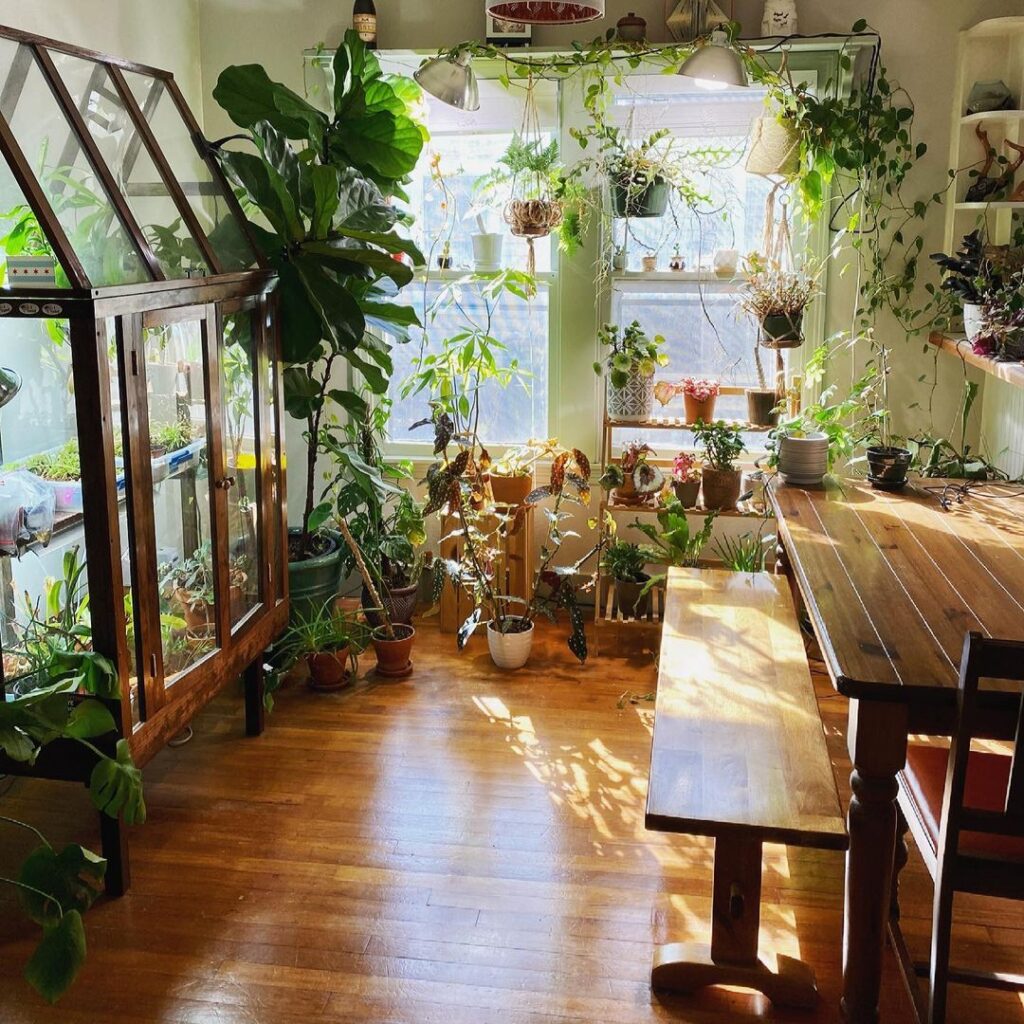Indoor Gardening